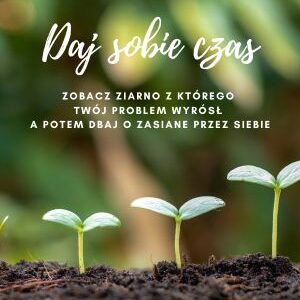 Daj sobie czas i rozwiąż problem